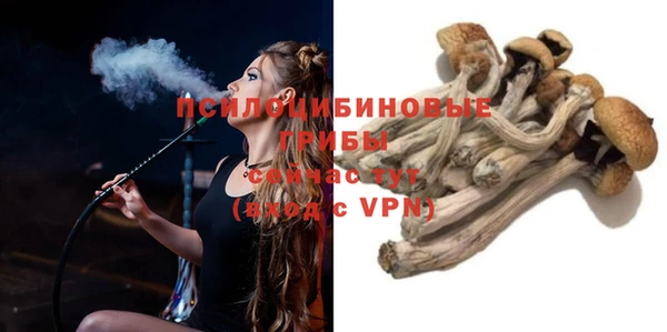 крисы Горно-Алтайск