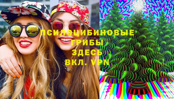 mix Горняк