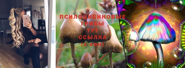 mix Горняк